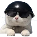 xenonxo