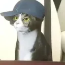 dankyss