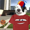 makarovpolka