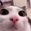 noahpwsc