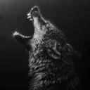 shib3k.