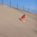 lillbiffn