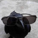 TheHeretic7094