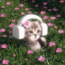 avatar e ⋆˚౨ৎ ⋆.˚