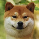 toasted_shibe
