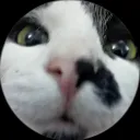 raznobraz