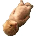 justpixx