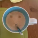schattenfaenger
