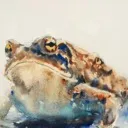 ossifiedtoad