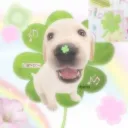 officialdritzy avatar