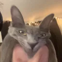 flairre