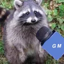 batsiplays