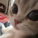 yumich