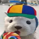 akisinvida