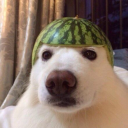 jilano0068#7305's avatar