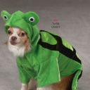 wormcastle#9563's avatar