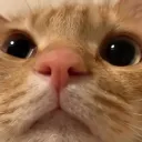 mungbxng