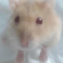 avatar 𝘈𝘭𝘧𝘰𝘯𝘤𝘦