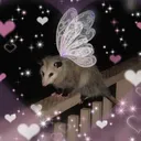 queenlucita