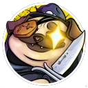 pincherdog