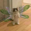 questsandfables