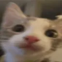 luisgames