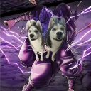 wikisolo