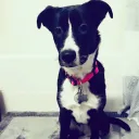 conwaytwatty