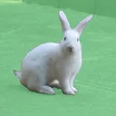 rhymu