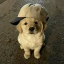 jayy8
