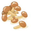 .nameco