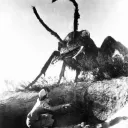 successfulsisyphus