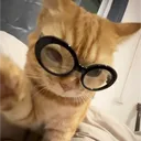 wnsx_