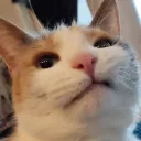 narcoleptrix