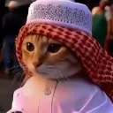 harmahabibi