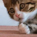 morduffz