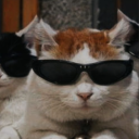 avatar qbit (◣_◢)