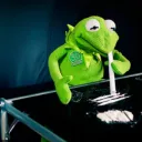 kramit_the_frog