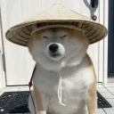.foxtrox