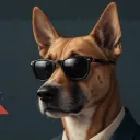 chaoz6