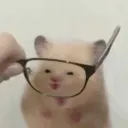 hkmyt