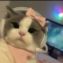 wifeyx