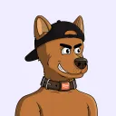 wayvnft