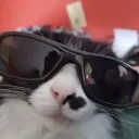 kippuwu