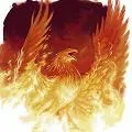 llylephoenix