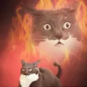 Image for foreboding