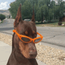 yukonprync