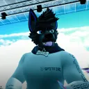 spitfirethewolf