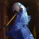 dkshwk