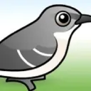skobird
